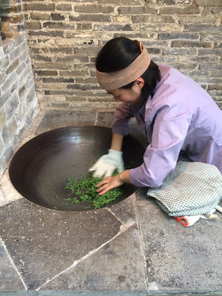 Bi Luo Chun green tea: Rolling the leaves