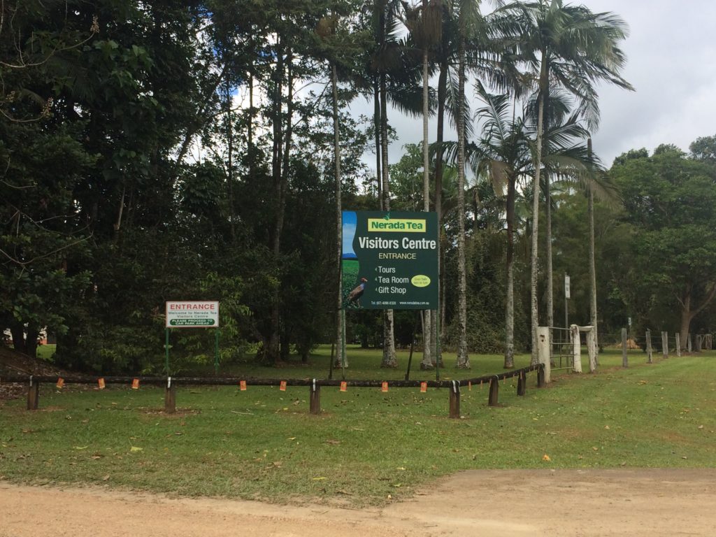 Entry to the Nerada Tea Plantation