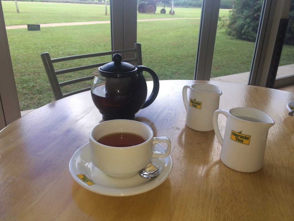Cup of tea at Nerada Tea visitor centre