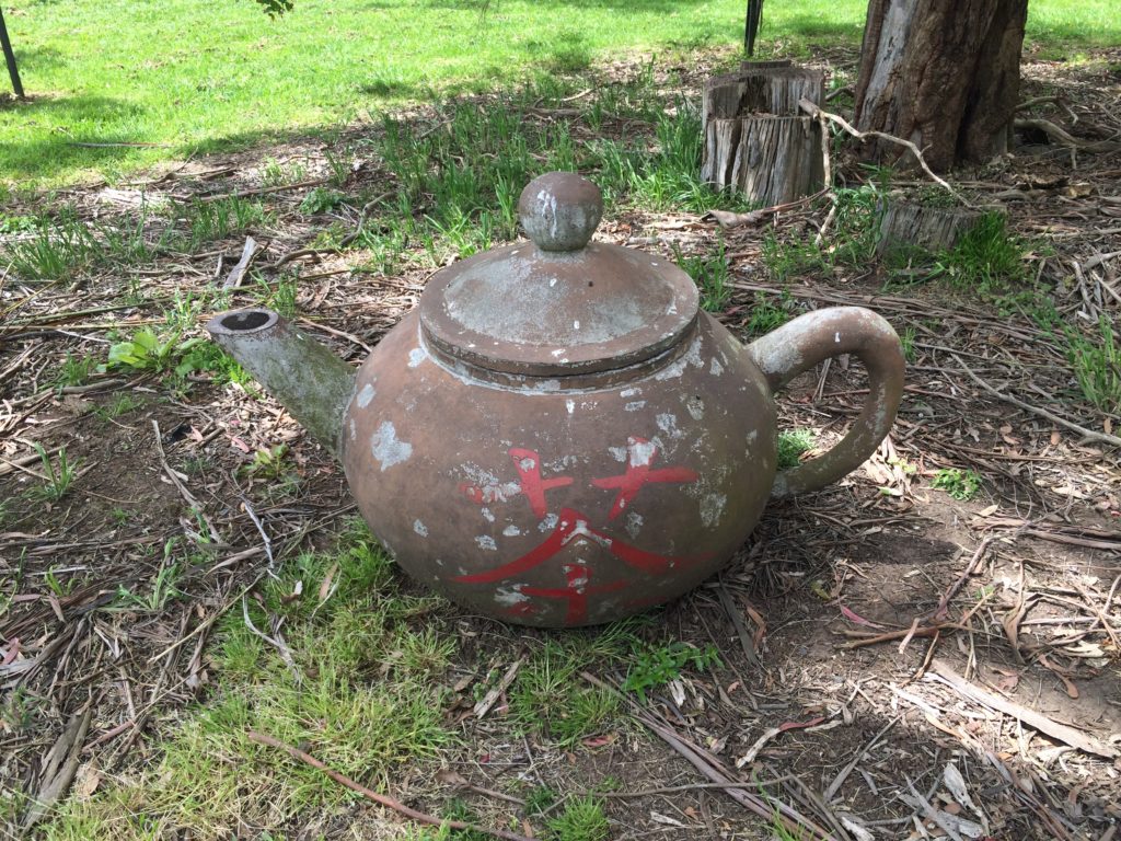 Beautiful big Yixing style teapot at Zealong tea estate